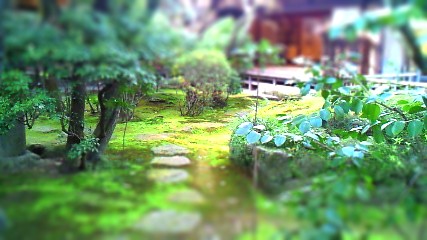 日本庭園 和風建築を中心にお気に入りの和の空間 ミニ日本庭園