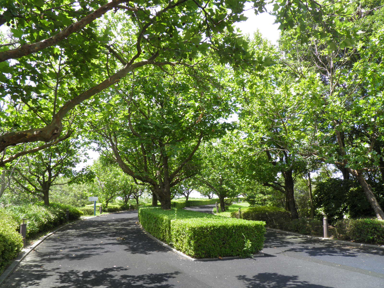 日本庭園 和風建築を中心にお気に入りの和の空間 美術館と庭園