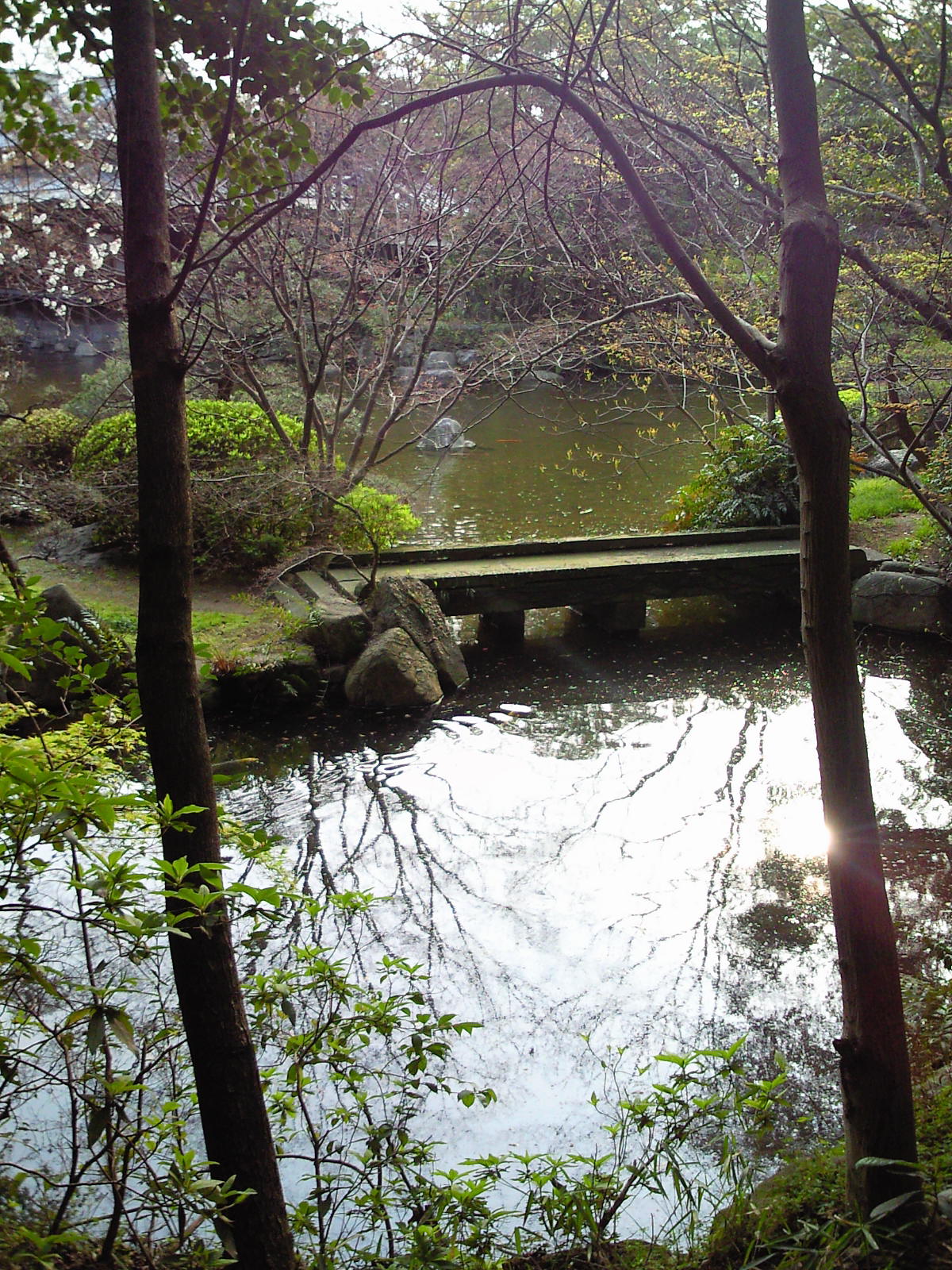 日本庭園 和風建築を中心にお気に入りの和の空間 豪邸の日本庭園